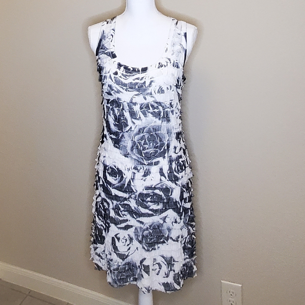 MI Manchi Sheer layered black and white dress